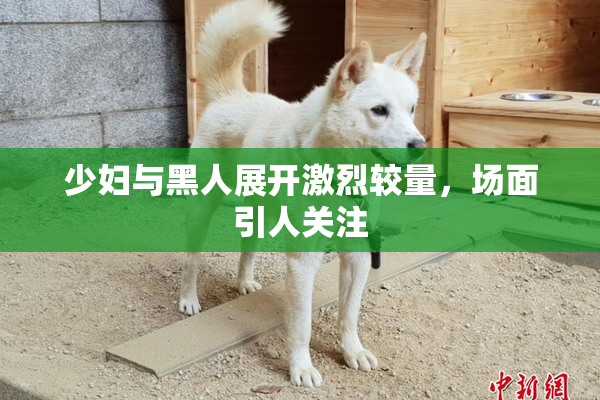 少妇与黑人展开激烈较量，场面引人关注
