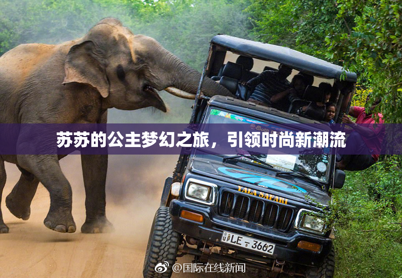 苏苏的公主梦幻之旅，引领时尚新潮流