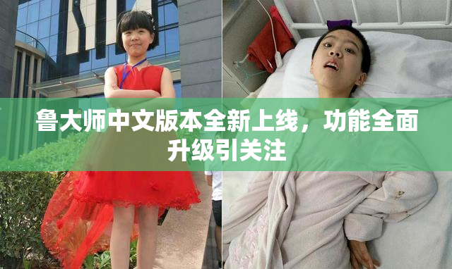 鲁大师中文版本全新上线，功能全面升级引关注