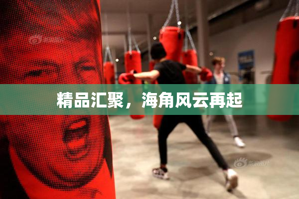 精品汇聚，海角风云再起