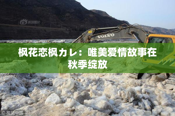 枫花恋枫カレ：唯美爱情故事在秋季绽放