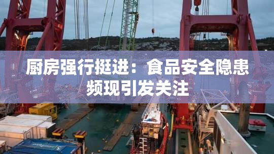 厨房强行挺进：食品安全隐患频现引发关注