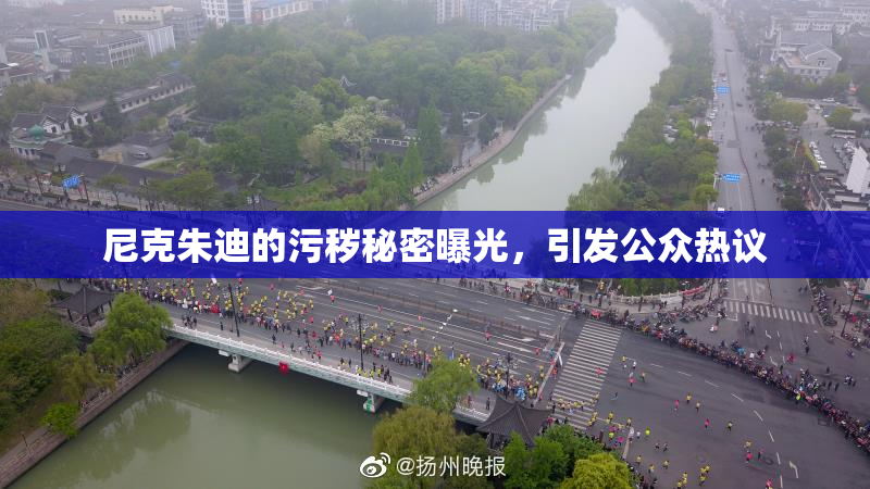 尼克朱迪的污秽秘密曝光，引发公众热议