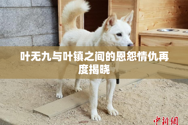 叶无九与叶镇之间的恩怨情仇再度揭晓