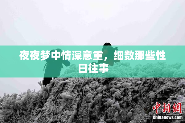 夜夜梦中情深意重，细数那些性日往事