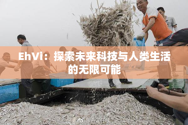 EhVi：探索未来科技与人类生活的无限可能