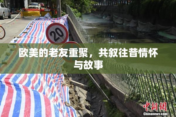 欧美的老友重聚，共叙往昔情怀与故事