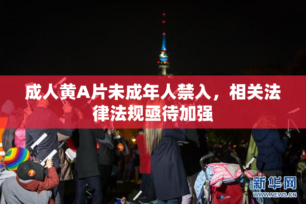 成人黄A片未成年人禁入，相关法律法规亟待加强