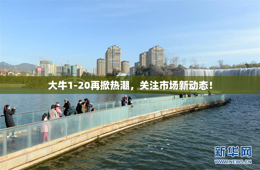 大牛1-20再掀热潮，关注市场新动态！