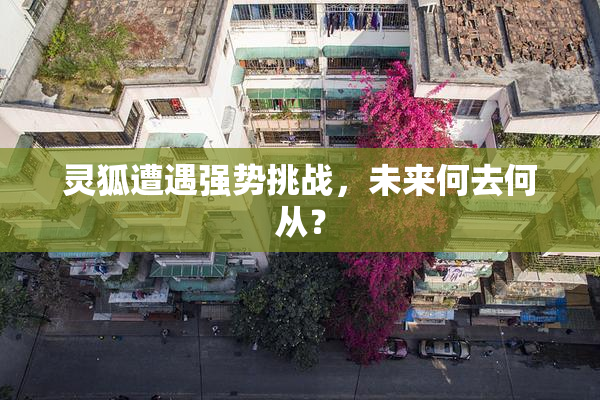 灵狐遭遇强势挑战，未来何去何从？