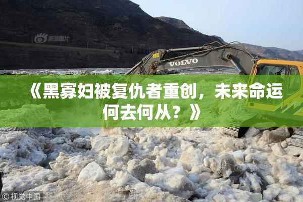 《黑寡妇被复仇者重创，未来命运何去何从？》