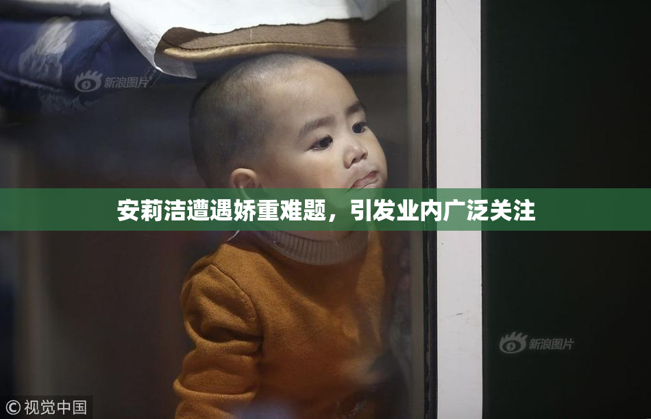 安莉洁遭遇娇重难题，引发业内广泛关注