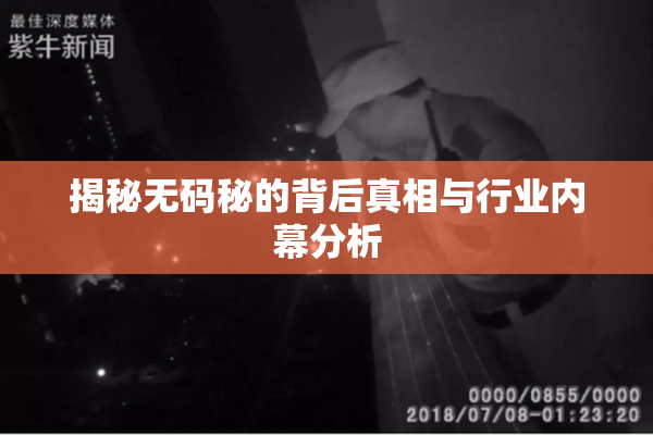 揭秘无码秘的背后真相与行业内幕分析
