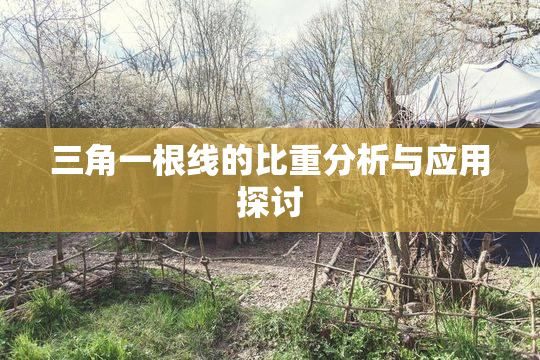 三角一根线的比重分析与应用探讨