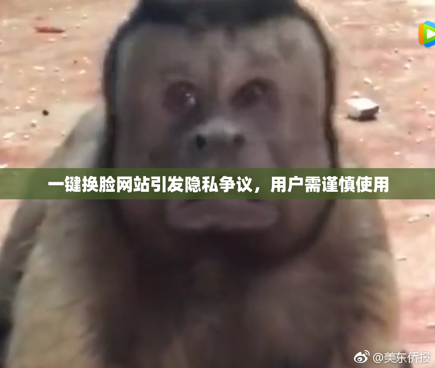 一键换脸网站引发隐私争议，用户需谨慎使用