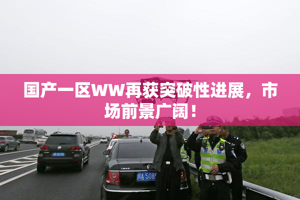 国产一区WW再获突破性进展，市场前景广阔！