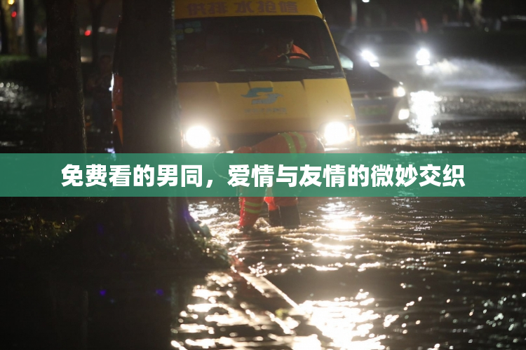 免费看的男同，爱情与友情的微妙交织