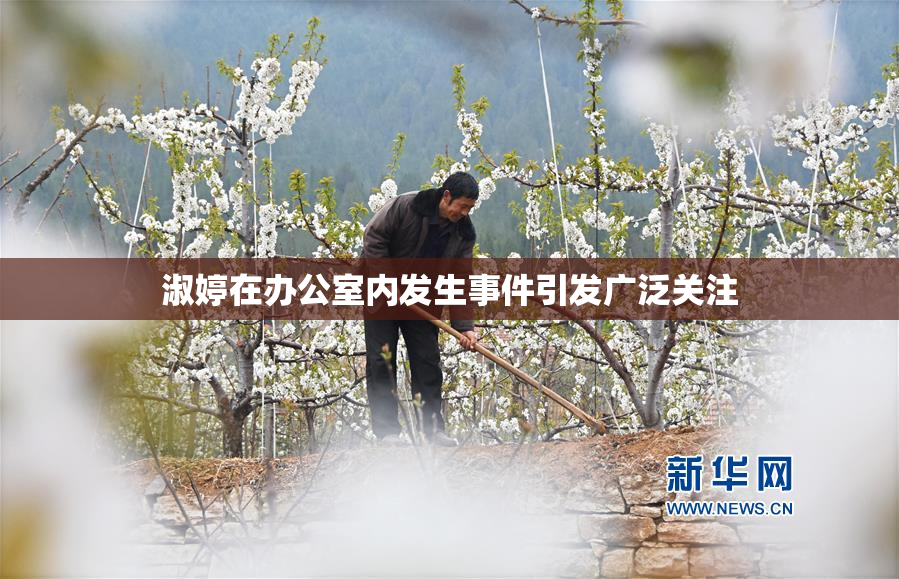 淑婷在办公室内发生事件引发广泛关注