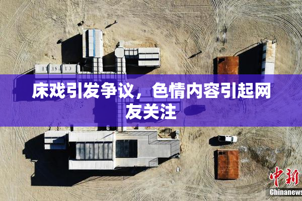 床戏引发争议，色情内容引起网友关注