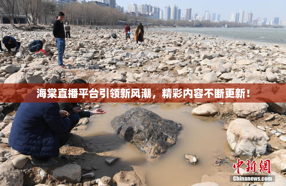 海棠直播平台引领新风潮，精彩内容不断更新！