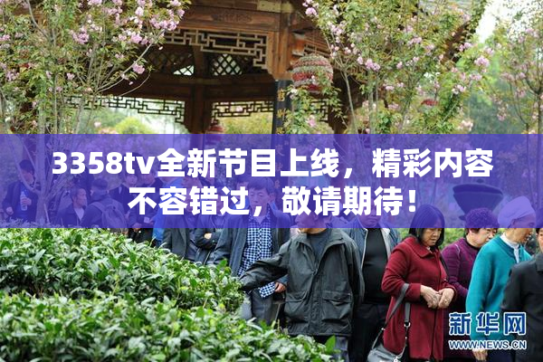 3358tv全新节目上线，精彩内容不容错过，敬请期待！