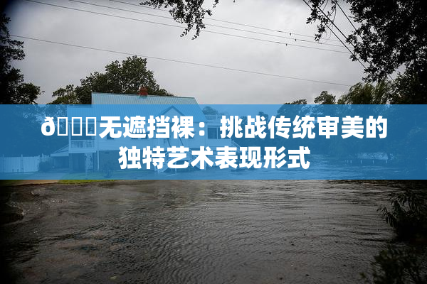 🔞无遮挡裸：挑战传统审美的独特艺术表现形式
