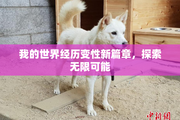 我的世界经历变性新篇章，探索无限可能