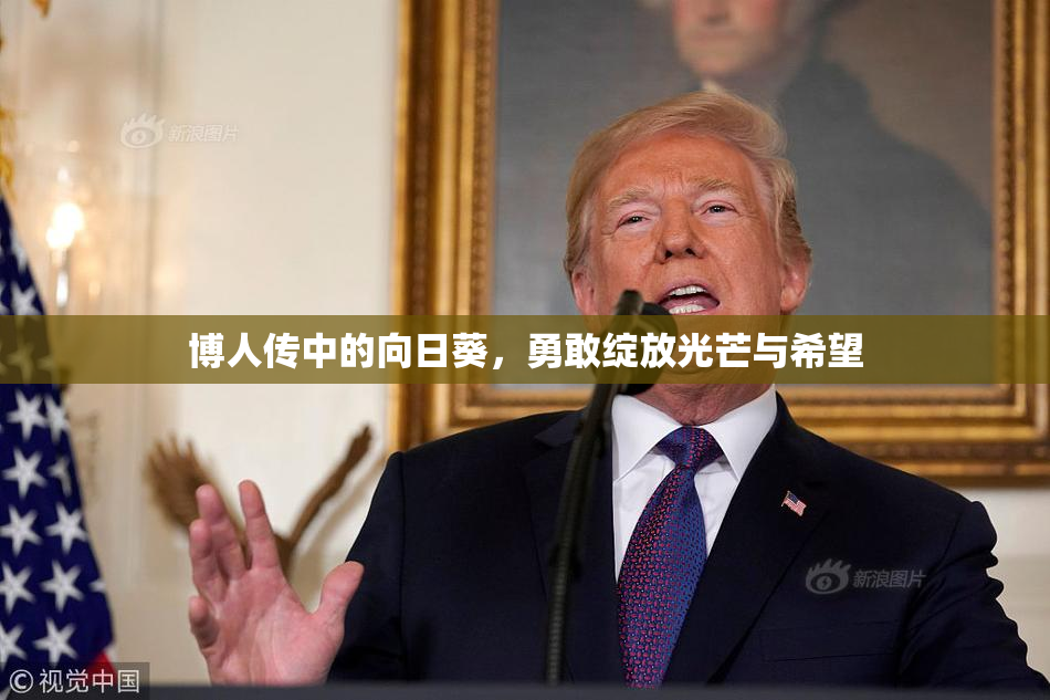 博人传中的向日葵，勇敢绽放光芒与希望