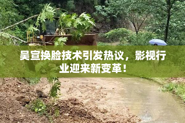 吴宣换脸技术引发热议，影视行业迎来新变革！
