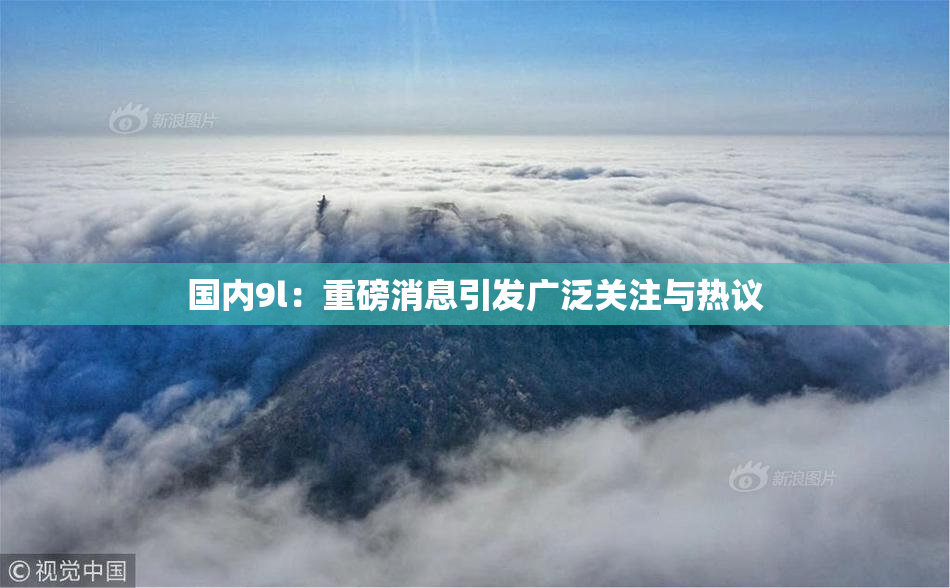 国内9l：重磅消息引发广泛关注与热议