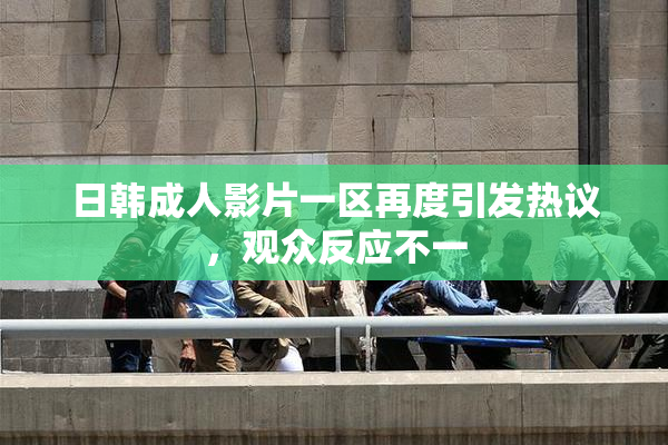 日韩成人影片一区再度引发热议，观众反应不一