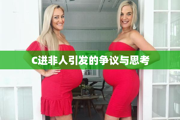 C进非人引发的争议与思考