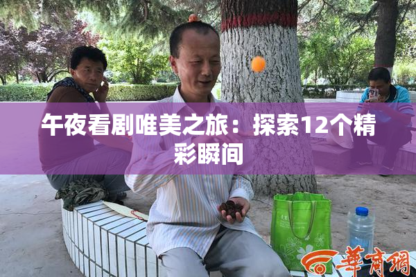 午夜看剧唯美之旅：探索12个精彩瞬间