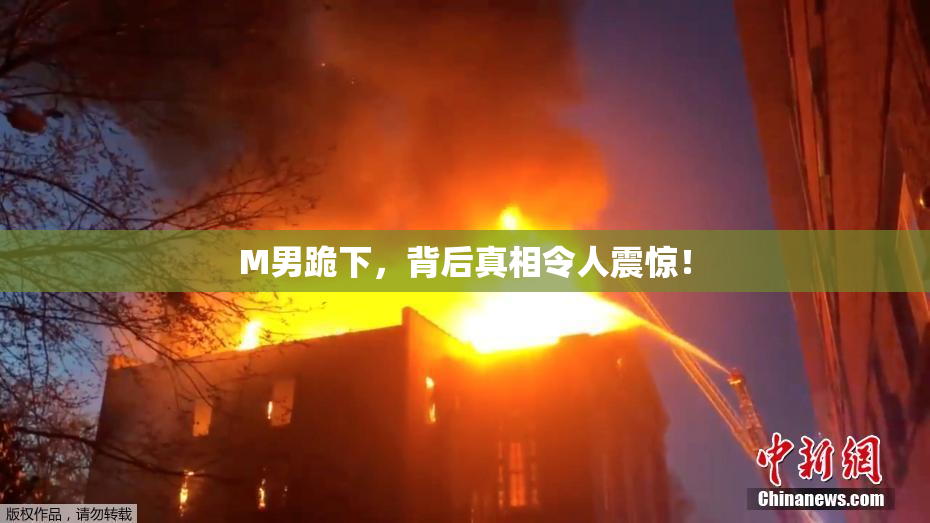 M男跪下，背后真相令人震惊！