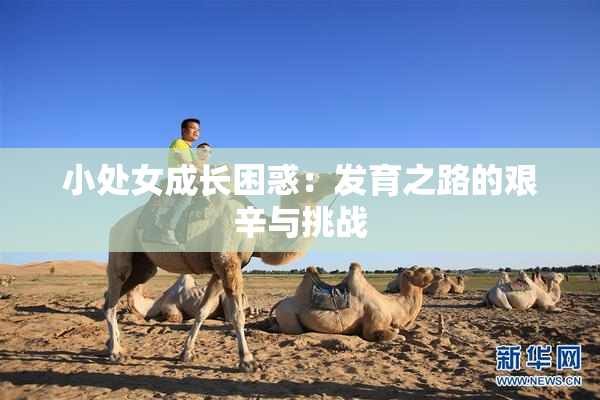 小处女成长困惑：发育之路的艰辛与挑战