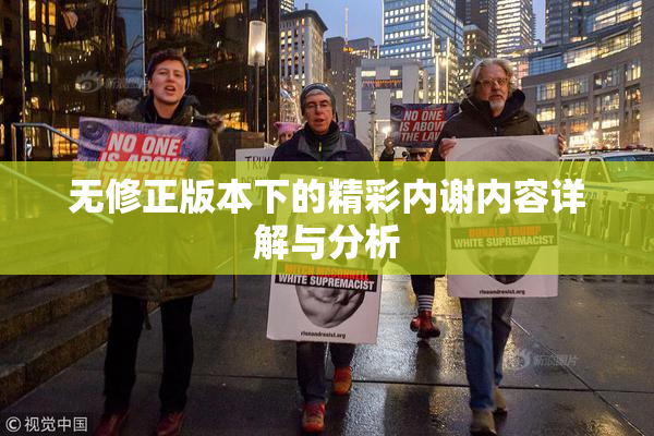 无修正版本下的精彩内谢内容详解与分析