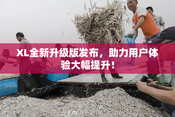 XL全新升级版发布，助力用户体验大幅提升！