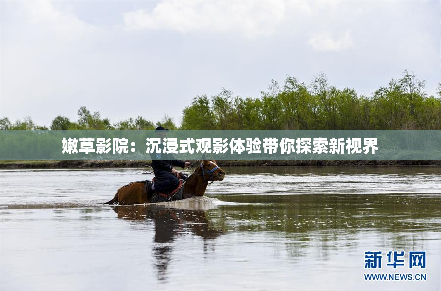 嫩草影院：沉浸式观影体验带你探索新视界