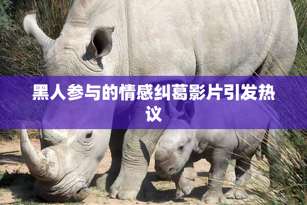 黑人参与的情感纠葛影片引发热议