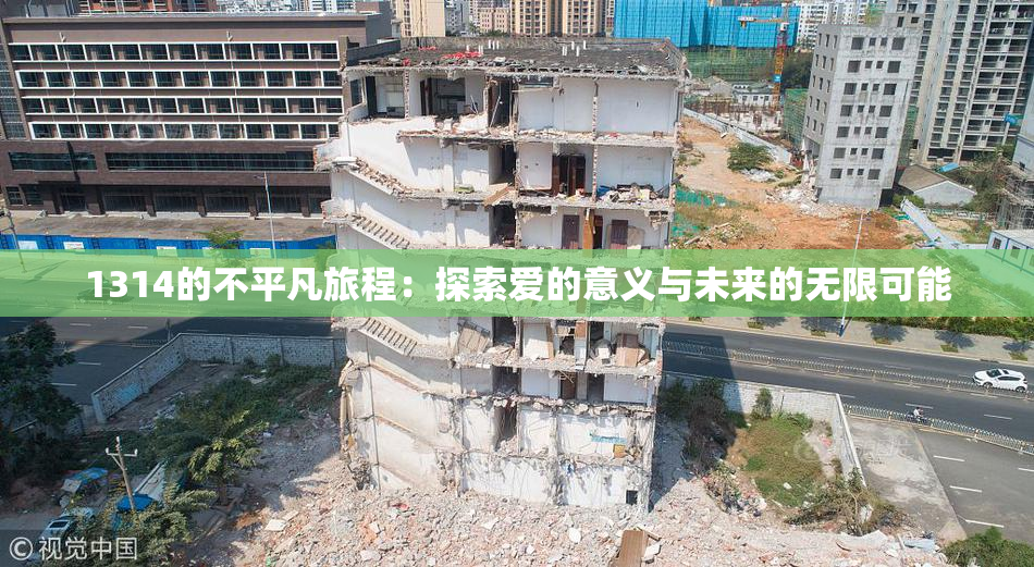 1314的不平凡旅程：探索爱的意义与未来的无限可能