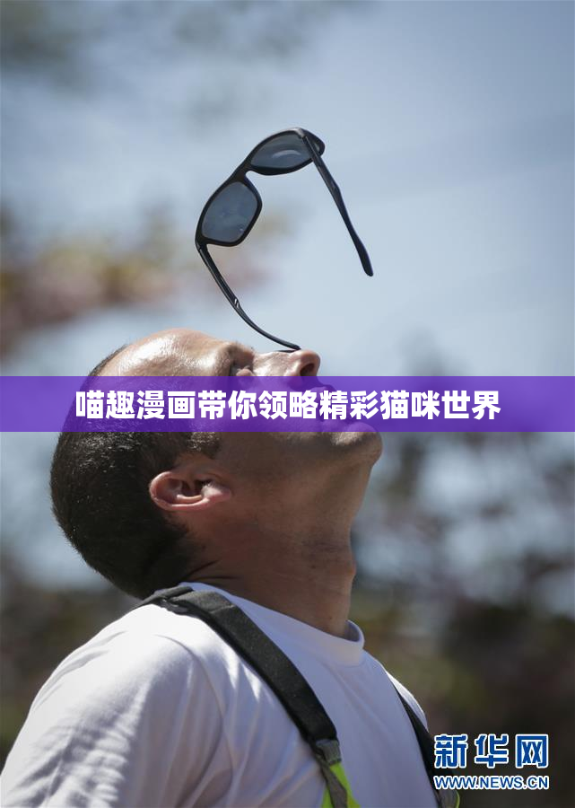 喵趣漫画带你领略精彩猫咪世界