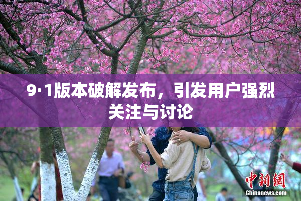 9·1版本破解发布，引发用户强烈关注与讨论