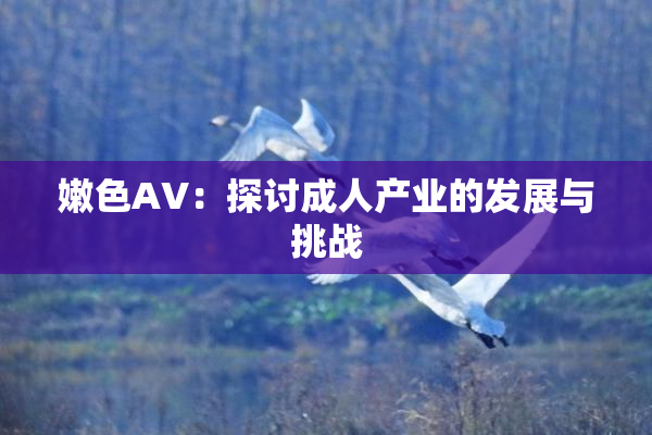 嫩色AV：探讨成人产业的发展与挑战