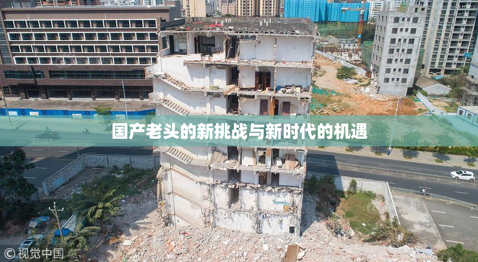 国产老头的新挑战与新时代的机遇
