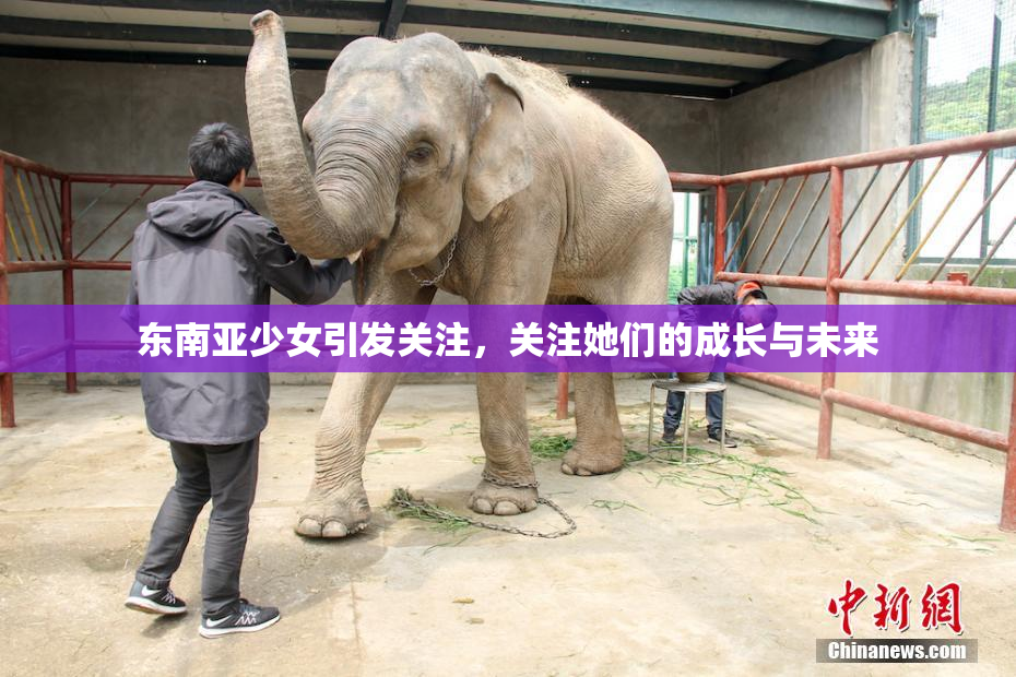 东南亚少女引发关注，关注她们的成长与未来