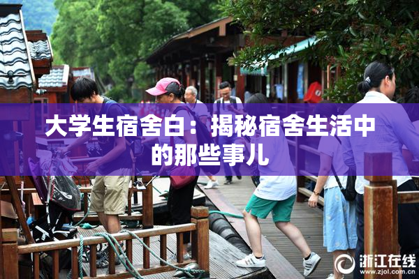 大学生宿舍白：揭秘宿舍生活中的那些事儿