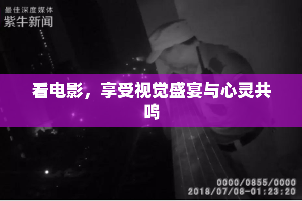 看电影，享受视觉盛宴与心灵共鸣