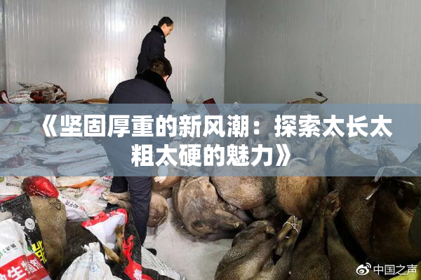 《坚固厚重的新风潮：探索太长太粗太硬的魅力》