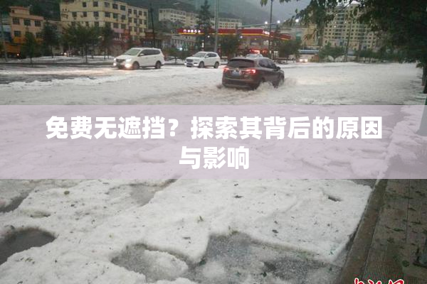 免费无遮挡？探索其背后的原因与影响