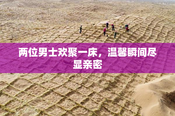 两位男士欢聚一床，温馨瞬间尽显亲密